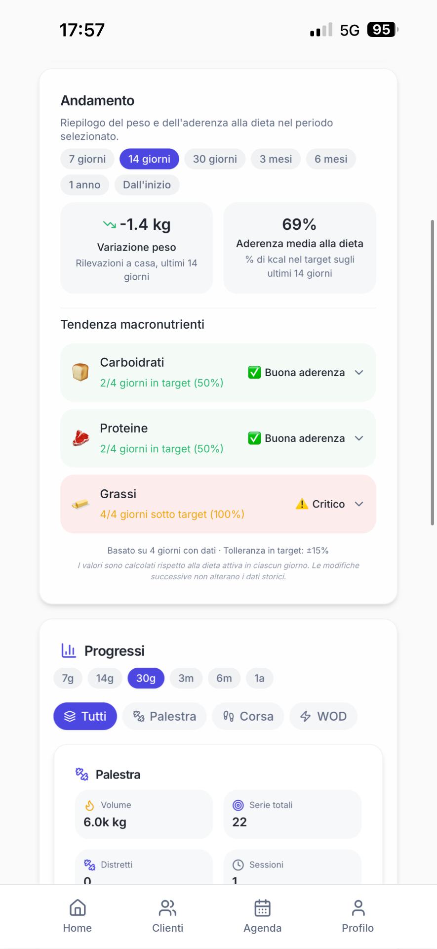 Analisi cliente FitSync